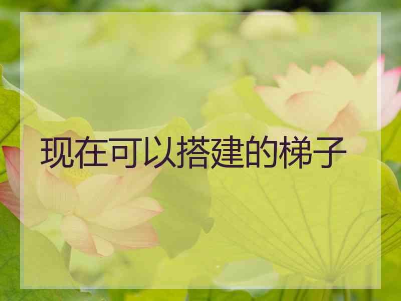 现在可以搭建的梯子