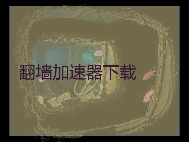 翻墙加速器下载