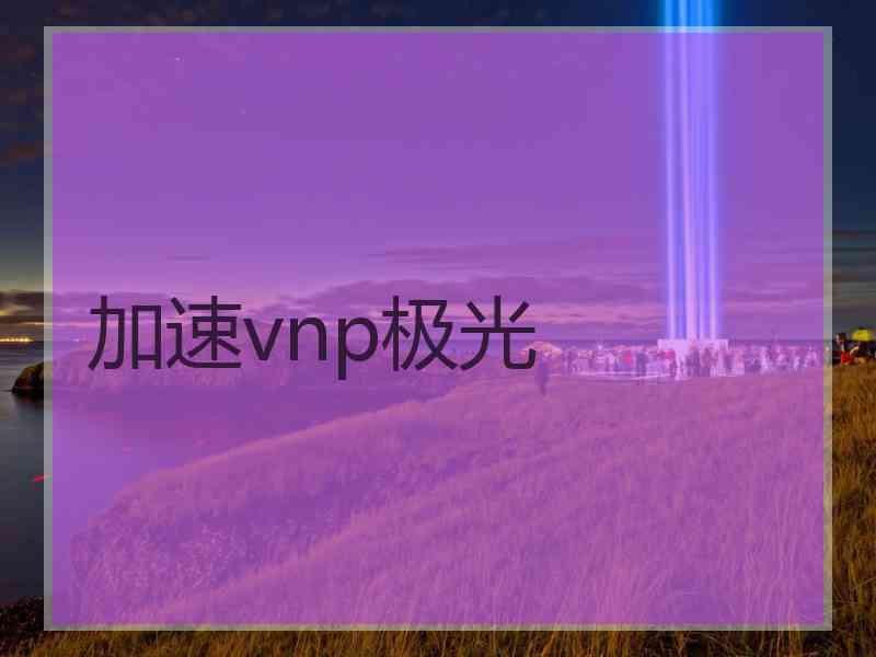 加速vnp极光