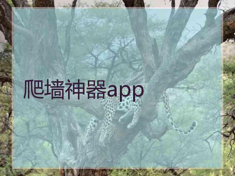 爬墙神器app