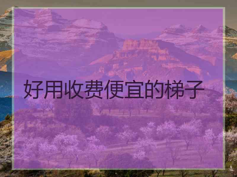 好用收费便宜的梯子