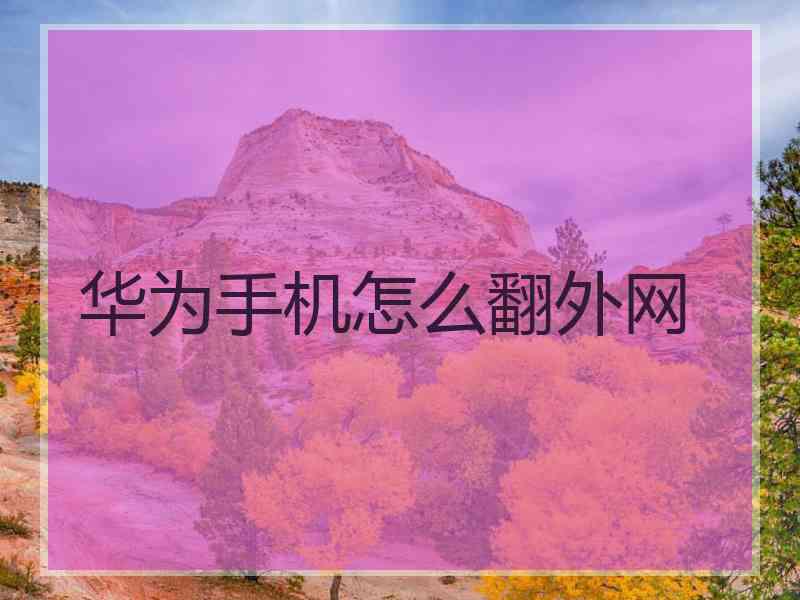 华为手机怎么翻外网