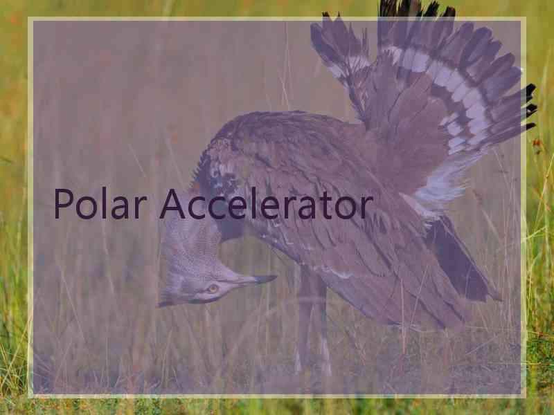 Polar Accelerator