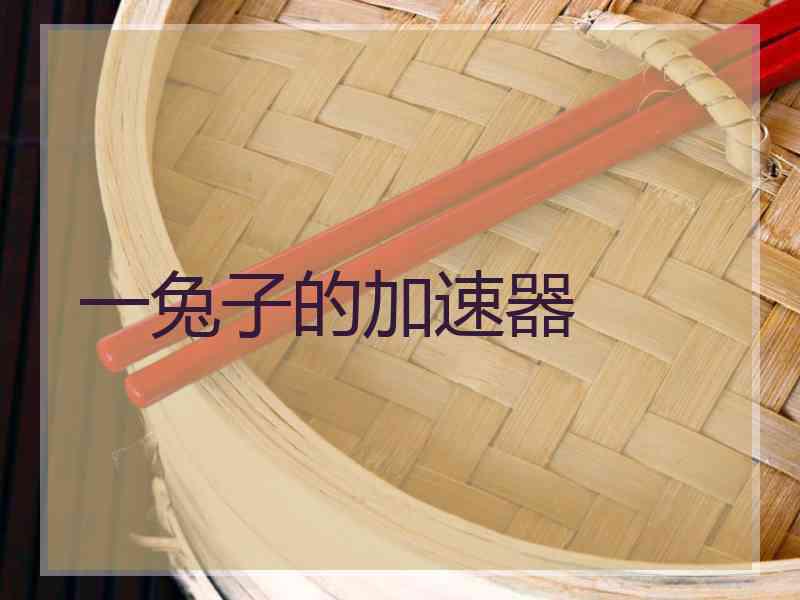 一兔子的加速器