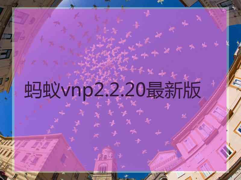 蚂蚁vnp2.2.20最新版