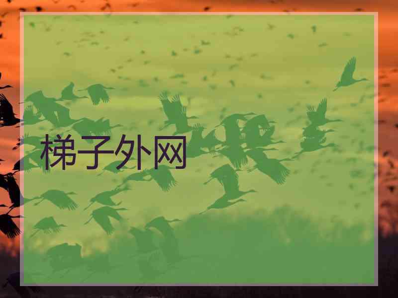 梯子外网