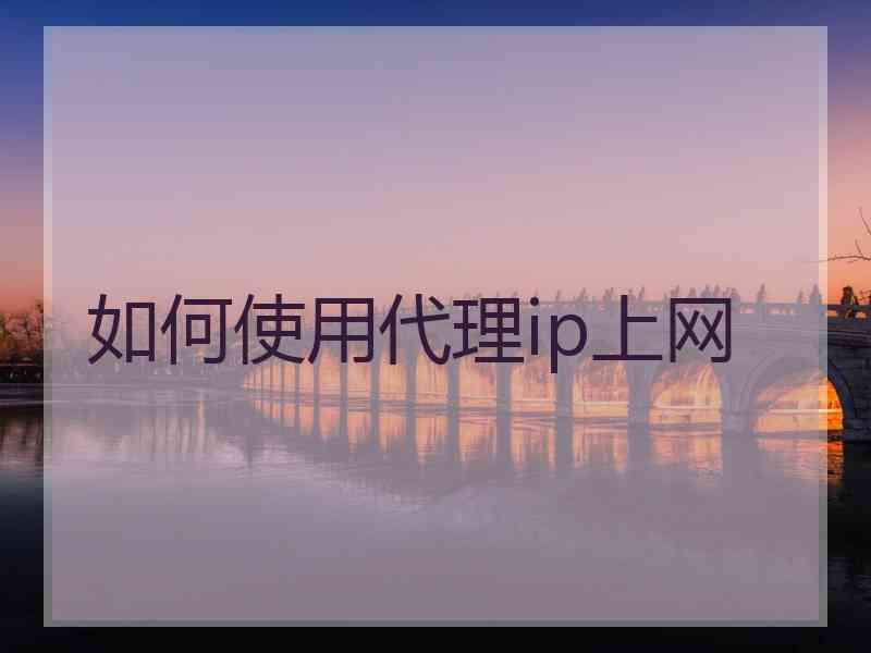 如何使用代理ip上网