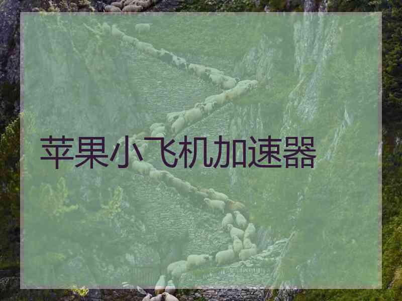 苹果小飞机加速器