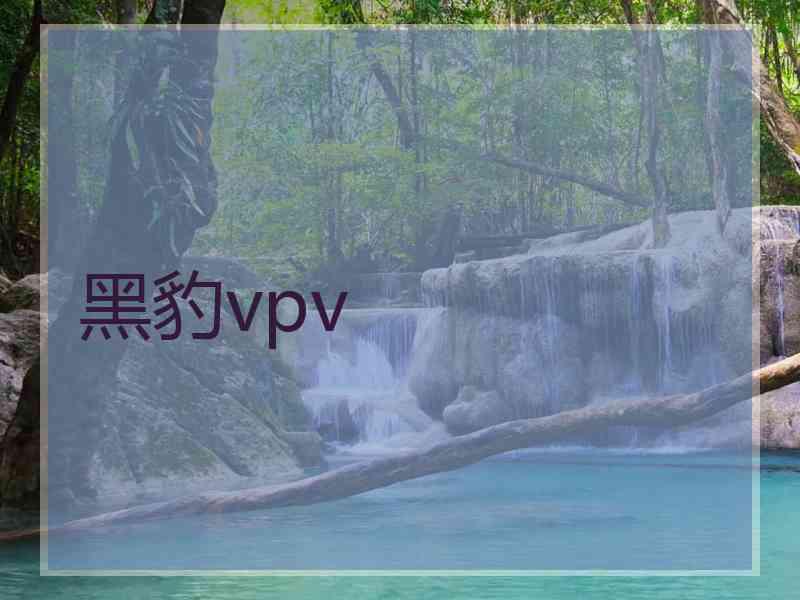 黑豹vpv