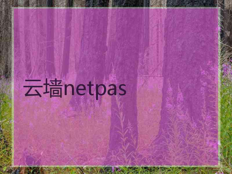 云墙netpas