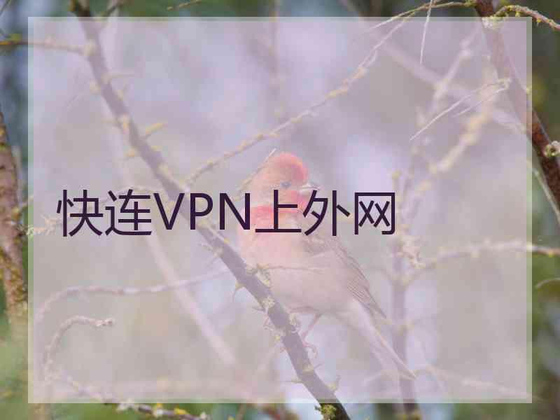 快连VPN上外网