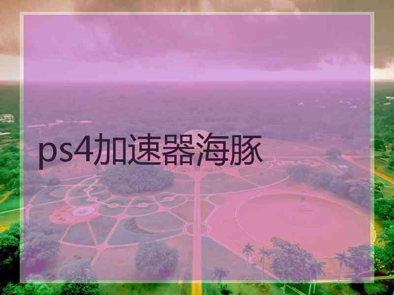 ps4加速器海豚