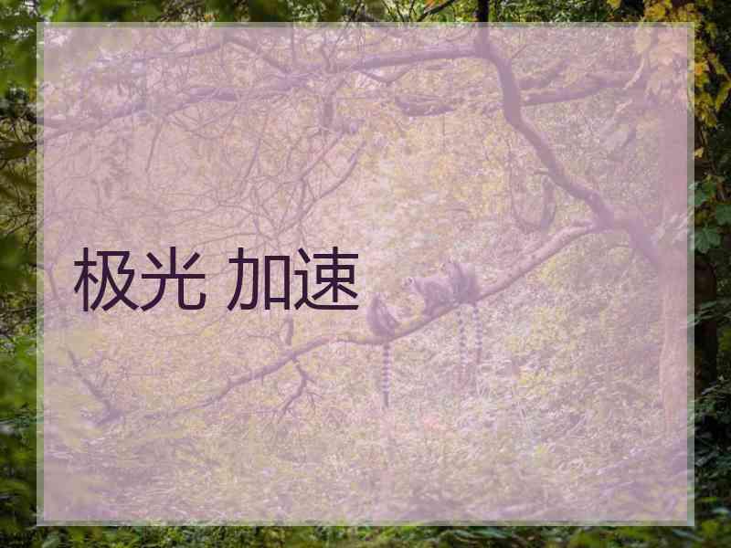 极光 加速