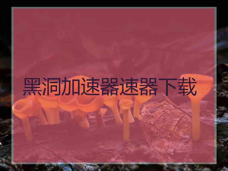 黑洞加速器速器下载