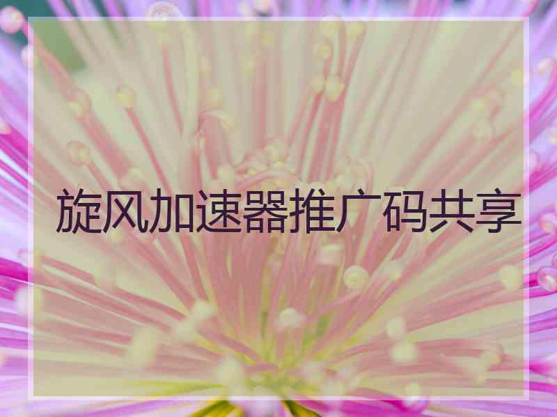 旋风加速器推广码共享