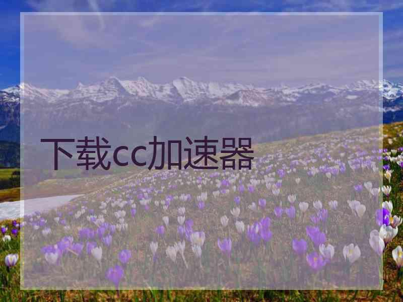 下载cc加速器
