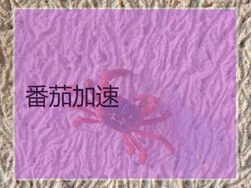 番茄加速