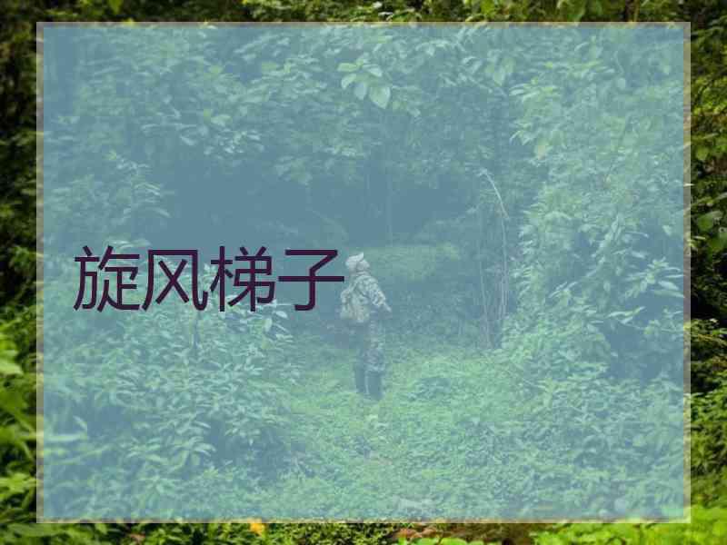 旋风梯子