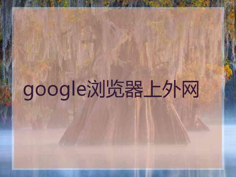 google浏览器上外网