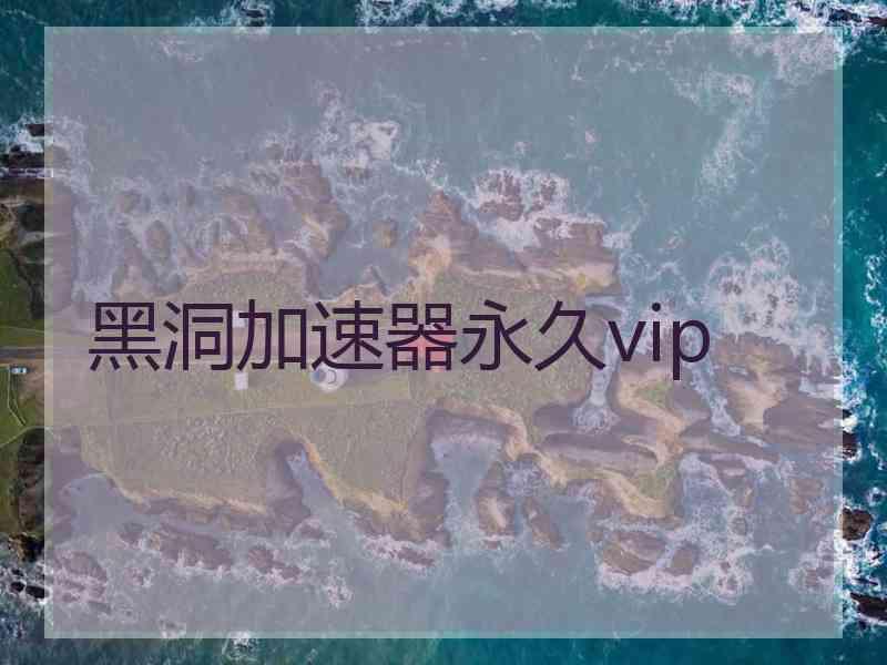 黑洞加速器永久vip