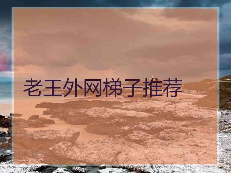 老王外网梯子推荐