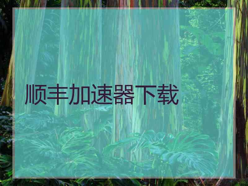 顺丰加速器下载