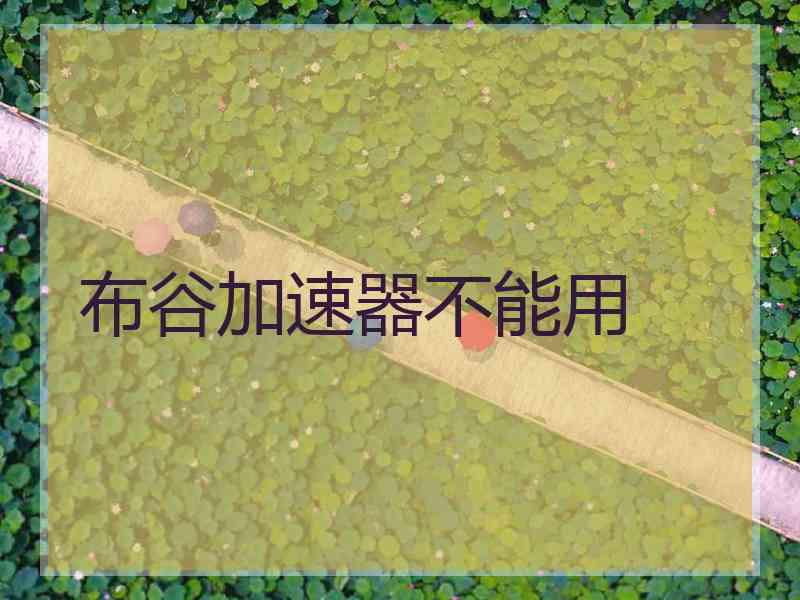 布谷加速器不能用