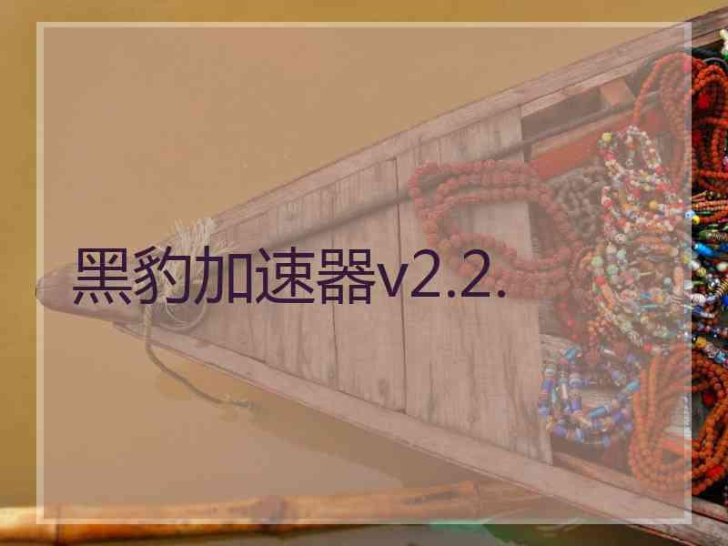 黑豹加速器v2.2.