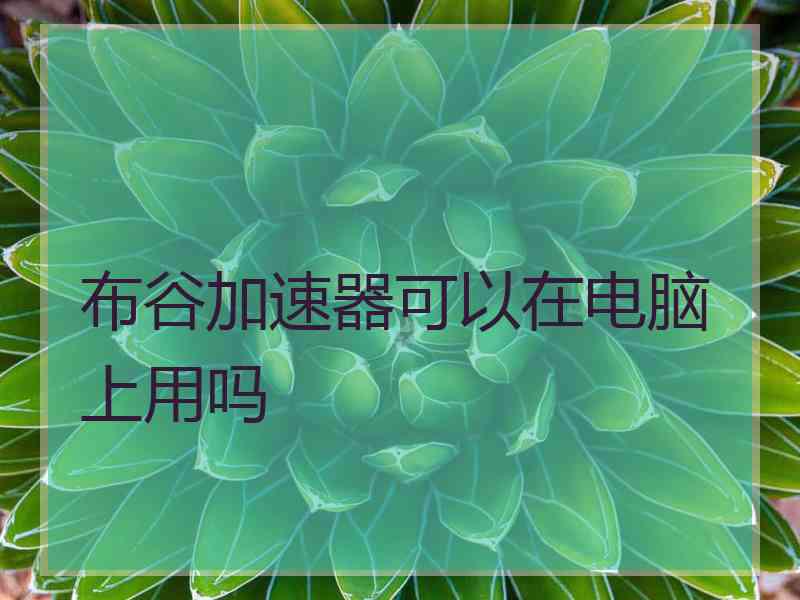 布谷加速器可以在电脑上用吗