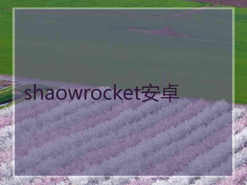 shaowrocket安卓