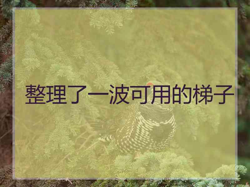 整理了一波可用的梯子