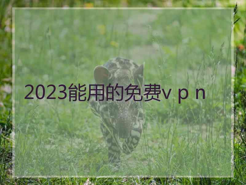 2023能用的免费v p n