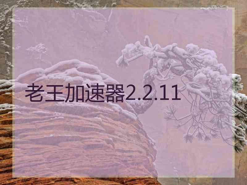 老王加速器2.2.11