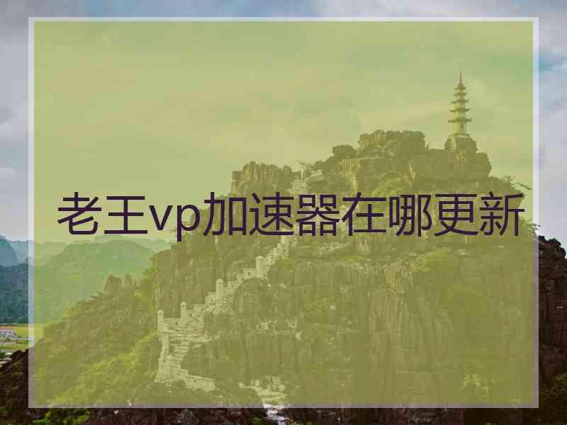 老王vp加速器在哪更新