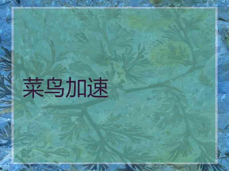 菜鸟加速