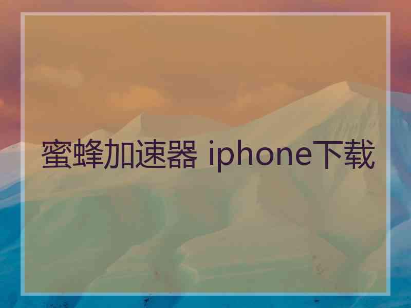 蜜蜂加速器 iphone下载