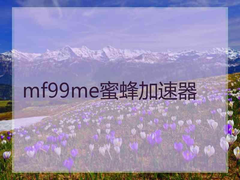 mf99me蜜蜂加速器