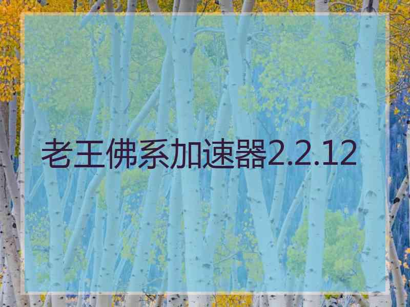 老王佛系加速器2.2.12