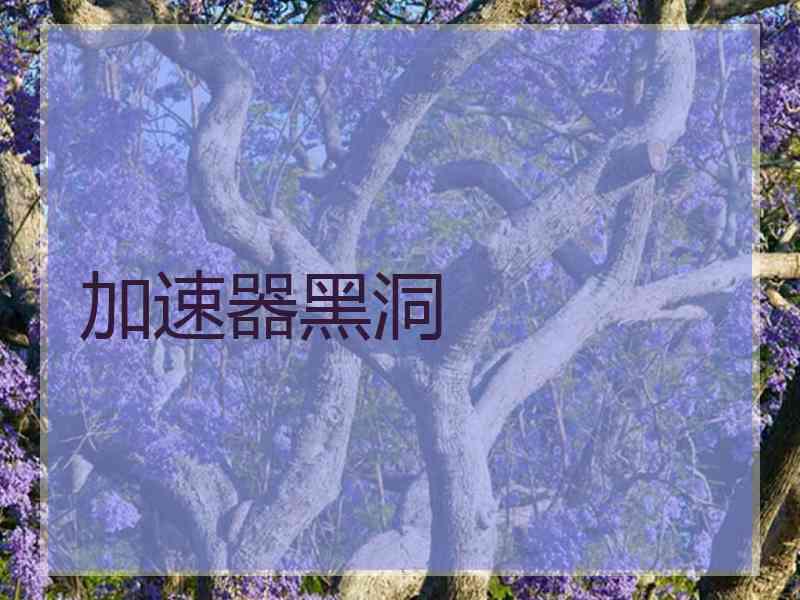 加速器黑洞