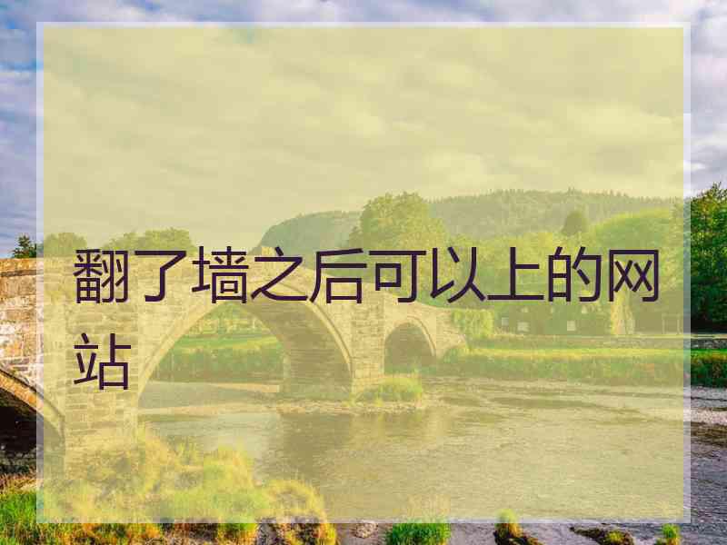 翻了墙之后可以上的网站