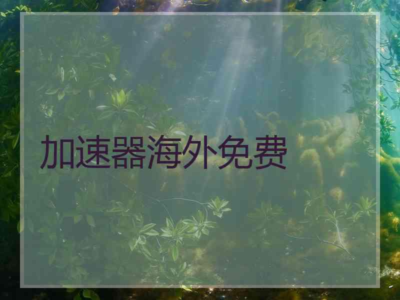 加速器海外免费