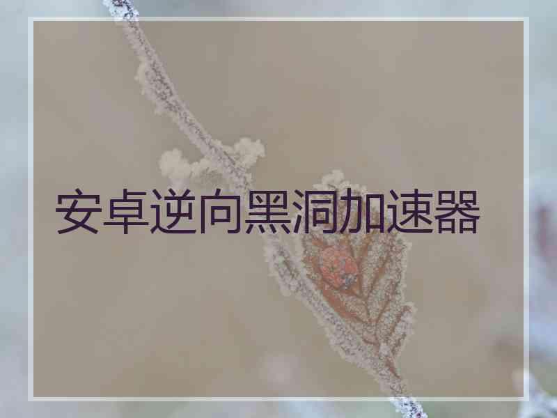 安卓逆向黑洞加速器