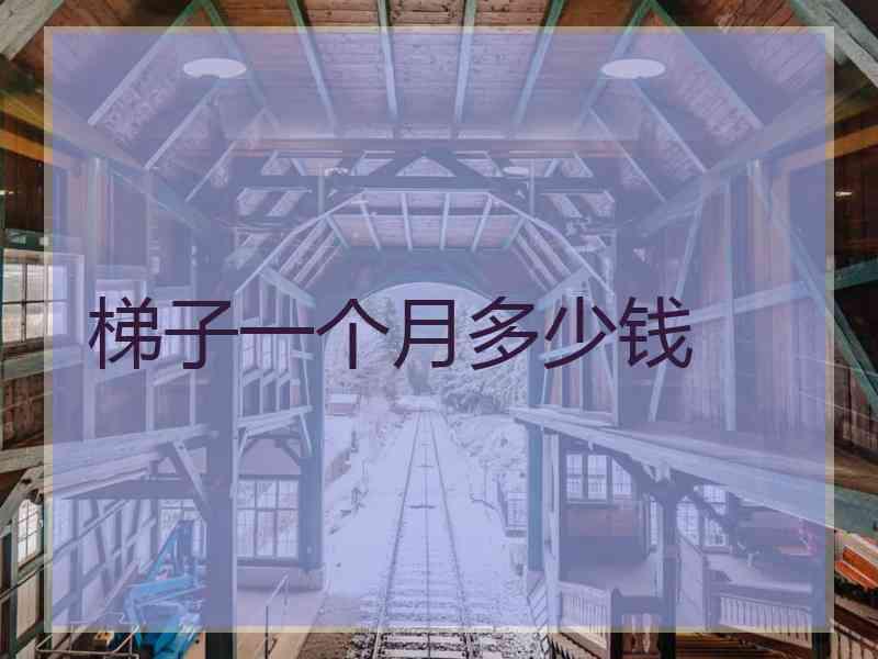 梯子一个月多少钱