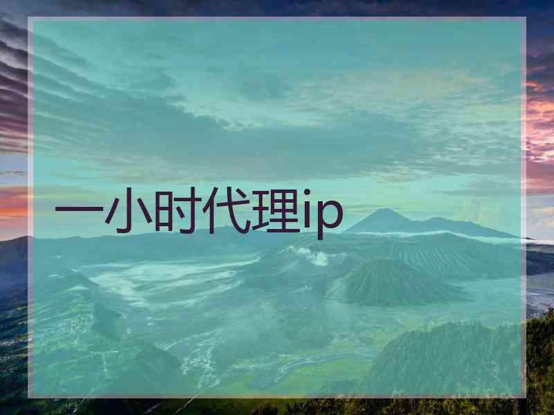 一小时代理ip