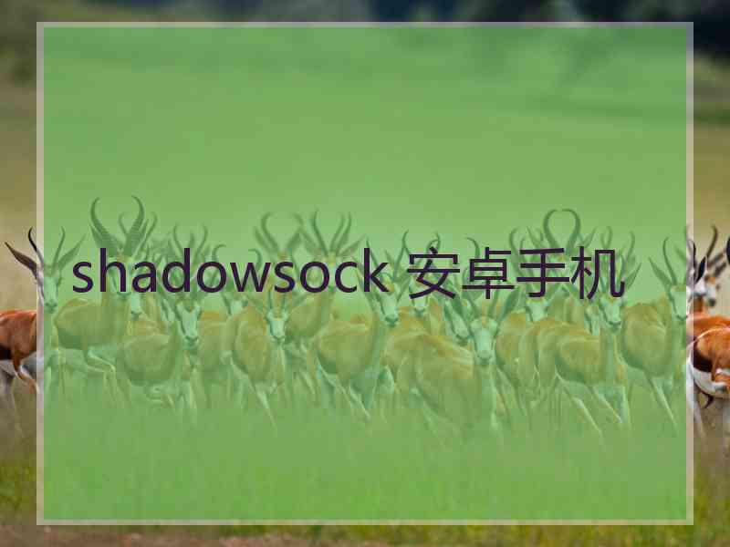 shadowsock 安卓手机