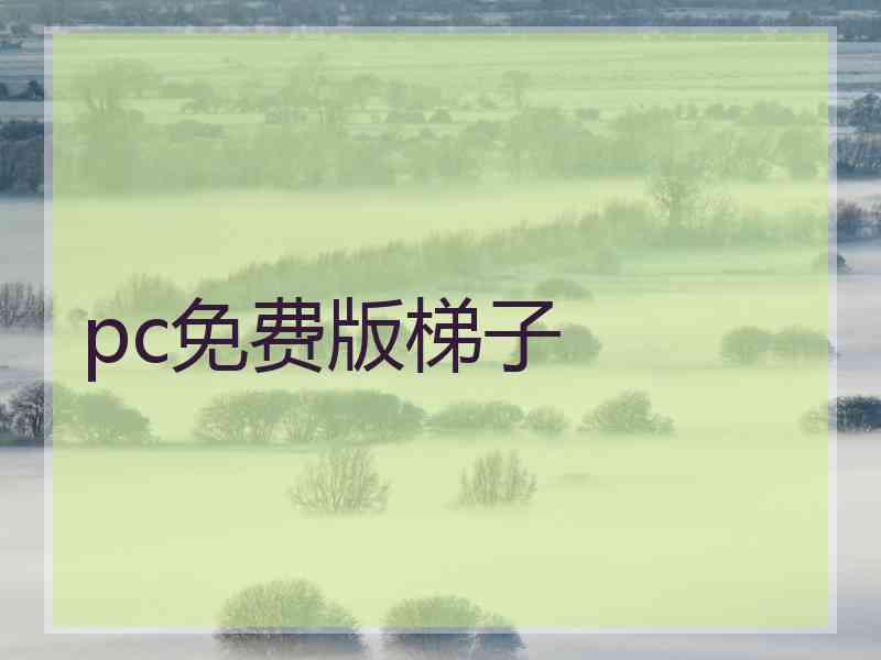 pc免费版梯子