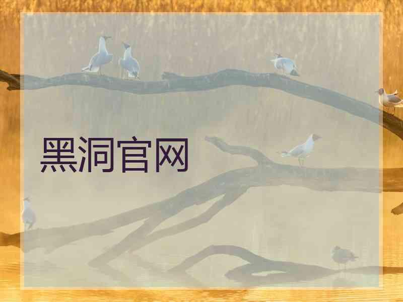 黑洞官网