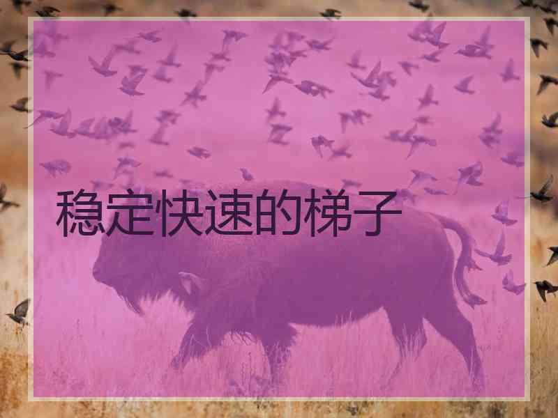 稳定快速的梯子