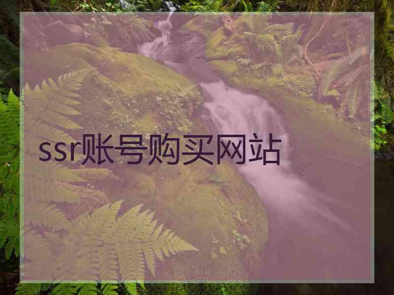 ssr账号购买网站