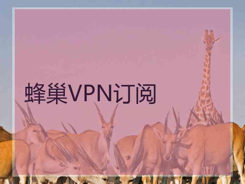 蜂巢VPN订阅